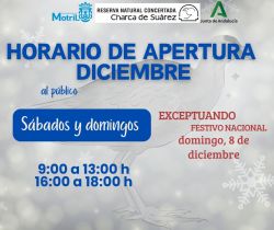 horario de apertura diciembre 250x210