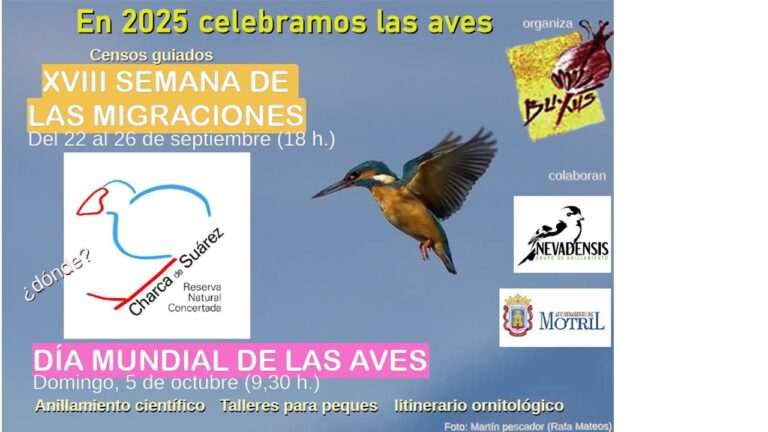 Día Mundial de las Aves 2025