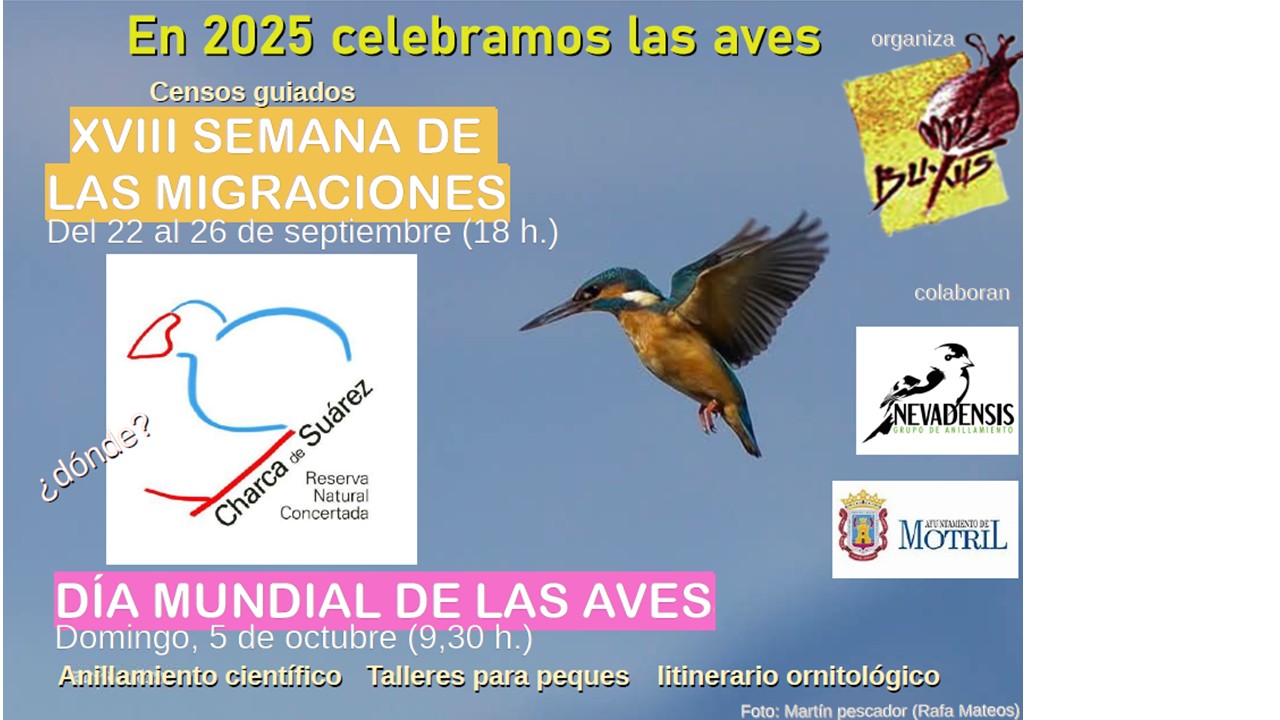 Día Mundial de las Aves